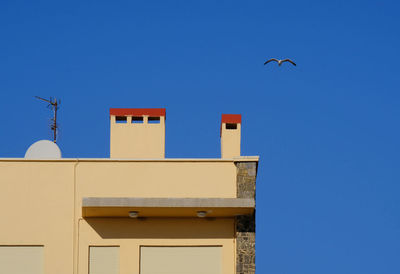 Low angle view of bird flying over building against clear blue sky during sunny day