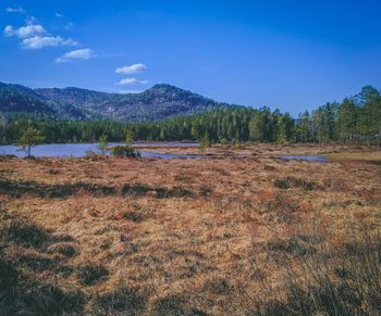 Scenic view of landscape against sky