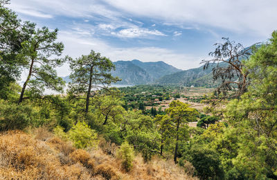 Scenic view of landscape against sky