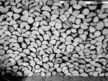 Full frame shot of logs in forest