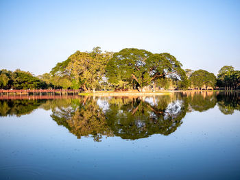 Reflection of trees in lake against clear sky