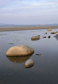 Scenic view of sea shore against sky