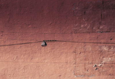 Low angle view of electric lamp on wall