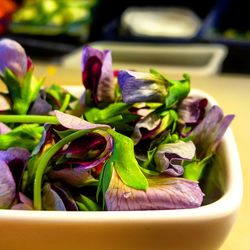 Close-up of purple flowers in container