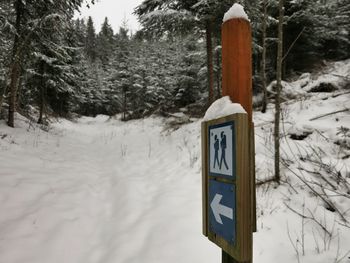 Snow covered trees