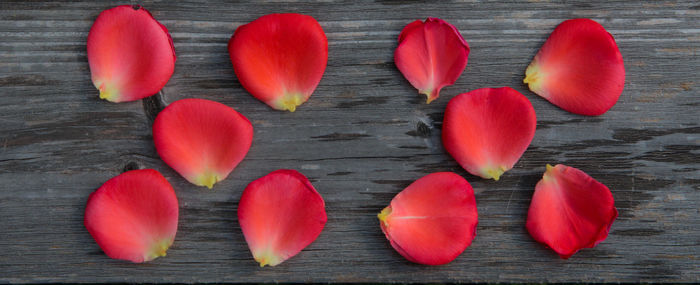 Directly above shot of red tulips on table