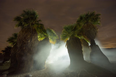 Night time long exposure desert scene in anza borrego national p