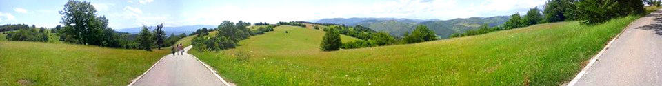 Panoramic shot of road amidst field against sky