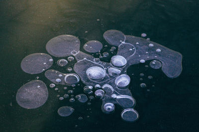 High angle view of ice in lake