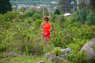 plant