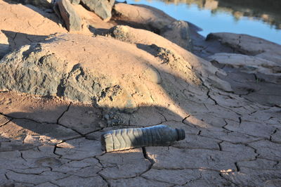 High angle view of a rock