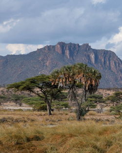 Scenic mountain landscapes against sky in samburu national reserve, kenya