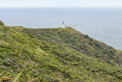 Coastal scenery with lighthouse around cape reinga at the north island in new zealand