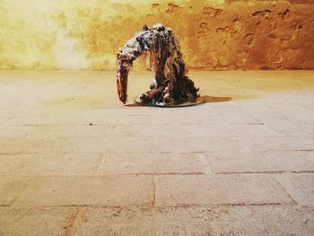 Woman sitting on floor against wall