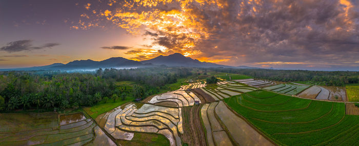 landscape