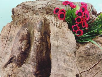 Close-up of flower bouquet