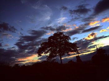 Low angle view of silhouette trees against sky during sunset