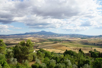 Scenic view of agricultural field against sky