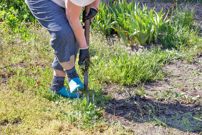 A woman loosens the soil in the garden with a metal pitchfork on a sunny spring day.