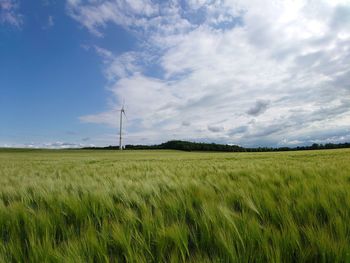 Scenic view of agricultural field against sky