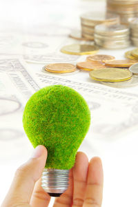 Cropped hand of person holding green light bulb with currencies in background