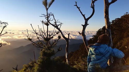 Rear view of woman standing by tree against sky