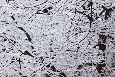 Full frame shot of white background