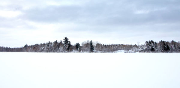 Trees on snow covered land against sky