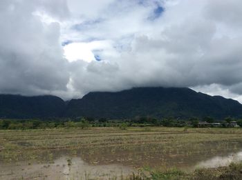 Scenic view of field against sky