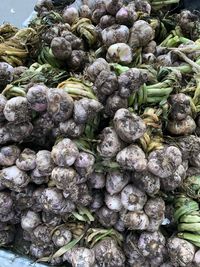 Garlic for sale at market stall