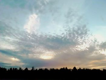 Silhouette of trees on landscape at sunset