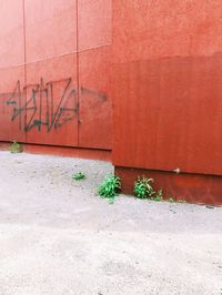 Graffiti on wall