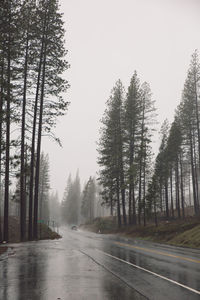 Road amidst trees against clear sky