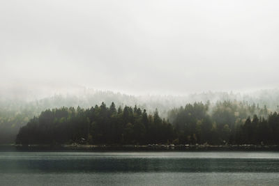 Scenic view of river by trees against sky during foggy weather