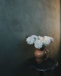 flowering plant