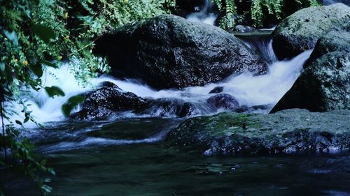 View of waterfall in forest