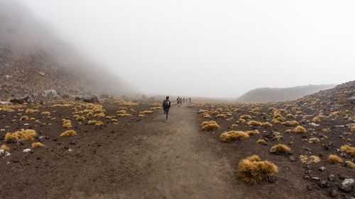 Rear view of men walking on mountain against sky