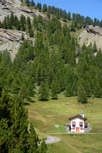 Scenic view of trees and houses on mountain