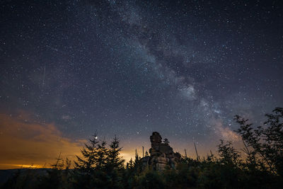 Low angle view of trees against sky at night