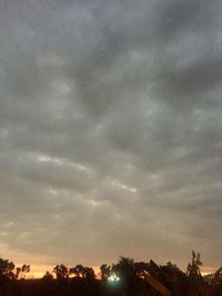 Low angle view of trees against sky during sunset