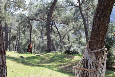 Woman sitting on tree trunk in forest