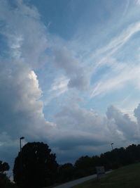 Low angle view of trees against sky