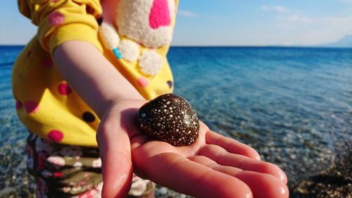 Close-up of hand holding crab at beach