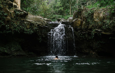 Scenic view of waterfall in forest