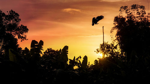 Silhouette trees against sky during sunset