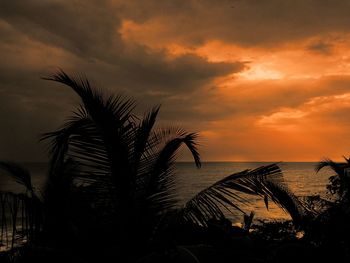 Silhouette palm tree on beach against sky during sunset