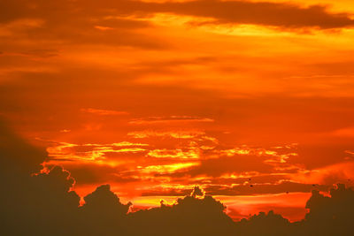 Low angle view of orange sky