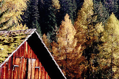 Built structure with trees in background