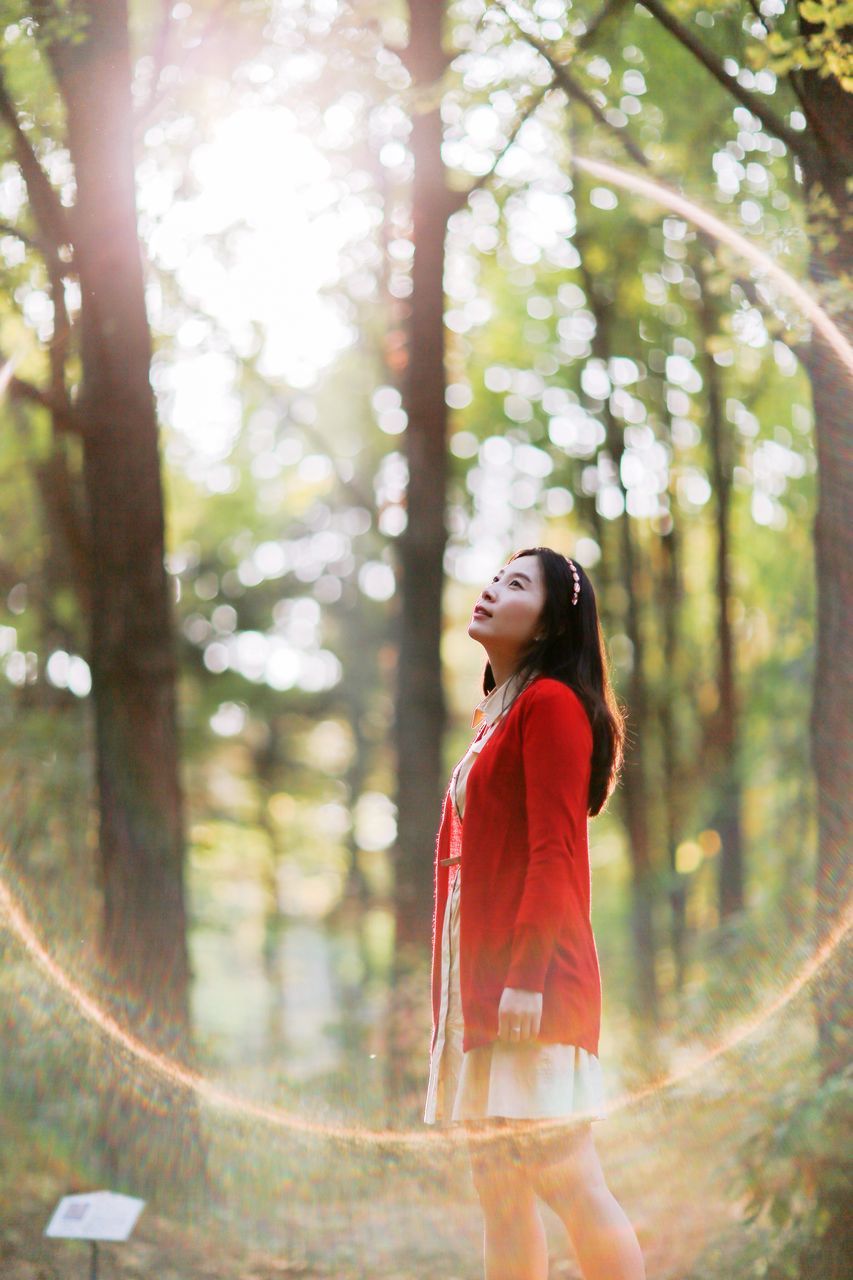 tree, dress, red, beauty, side view, fashion, one person, nature, arts culture and entertainment, serene people, traditional clothing, outdoors, adults only, adult, confidence, standing, people, portrait, women, young adult, day, one woman only, smiling, only women, charming