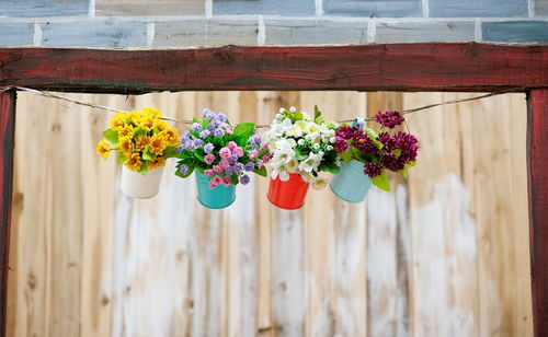 Close-up of flower pot